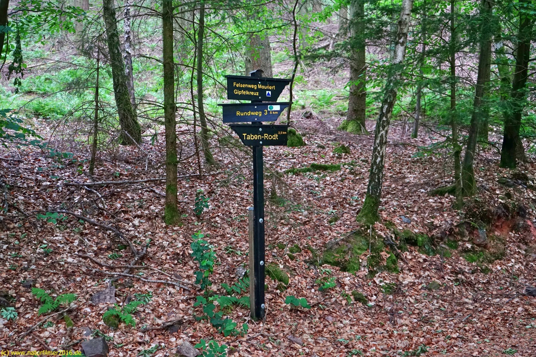 20200522_taben_rundwanderweg3_Color_4000er-37