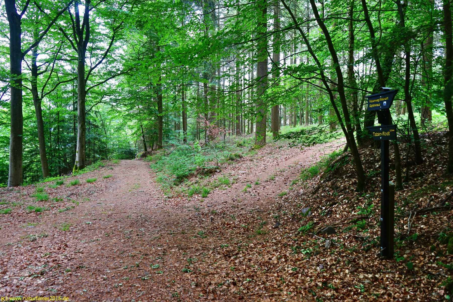 20200522_taben_rundwanderweg3_Color_4000er-38