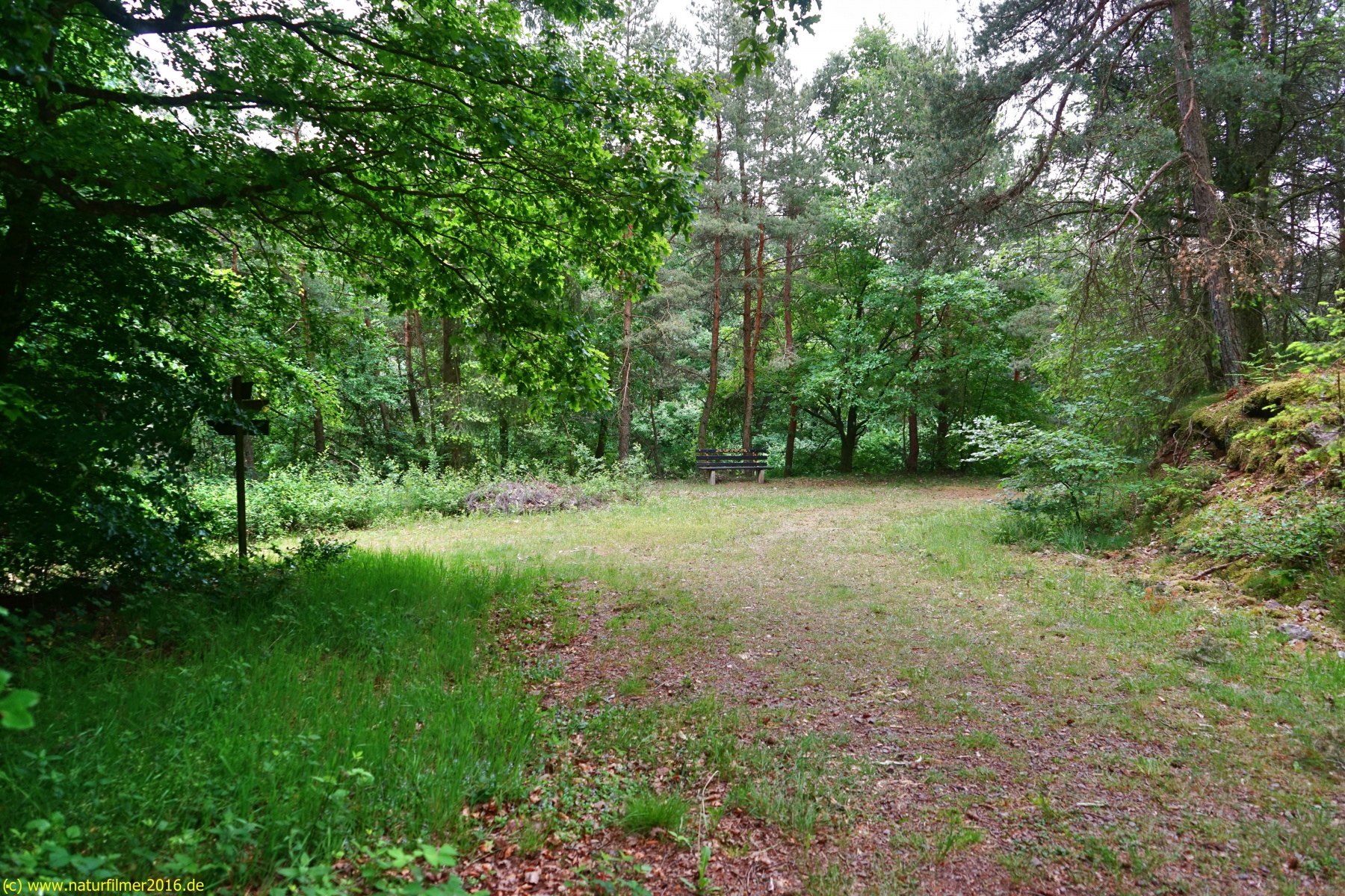 20200522_taben_rundwanderweg3_Color_4000er-39