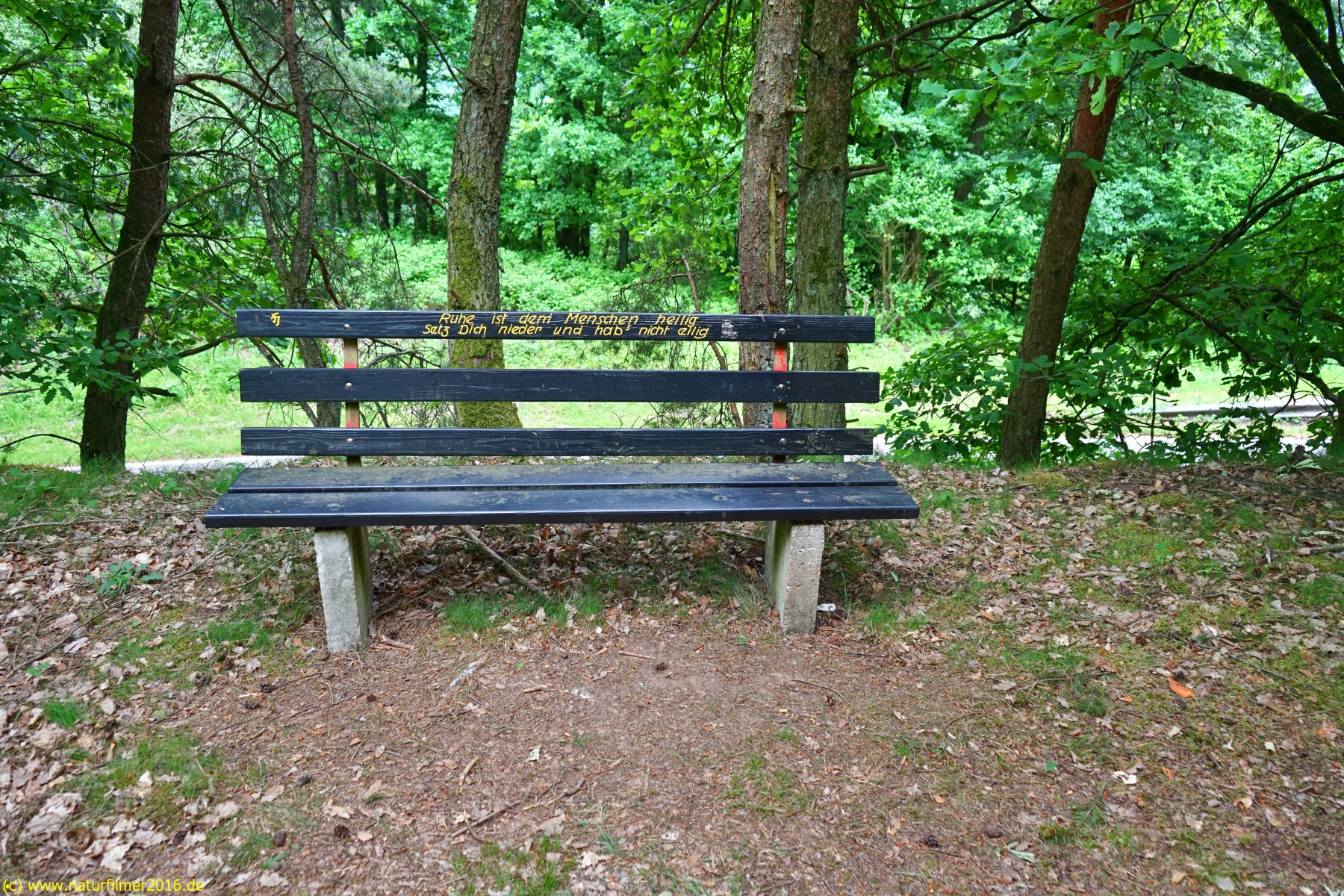 20200522_taben_rundwanderweg3_Color_4000er-40