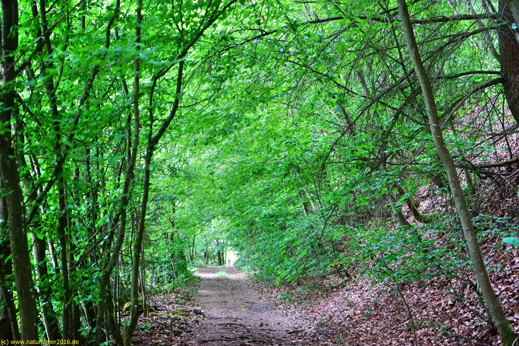 20200522_taben_rundwanderweg3_Color_4000er-41