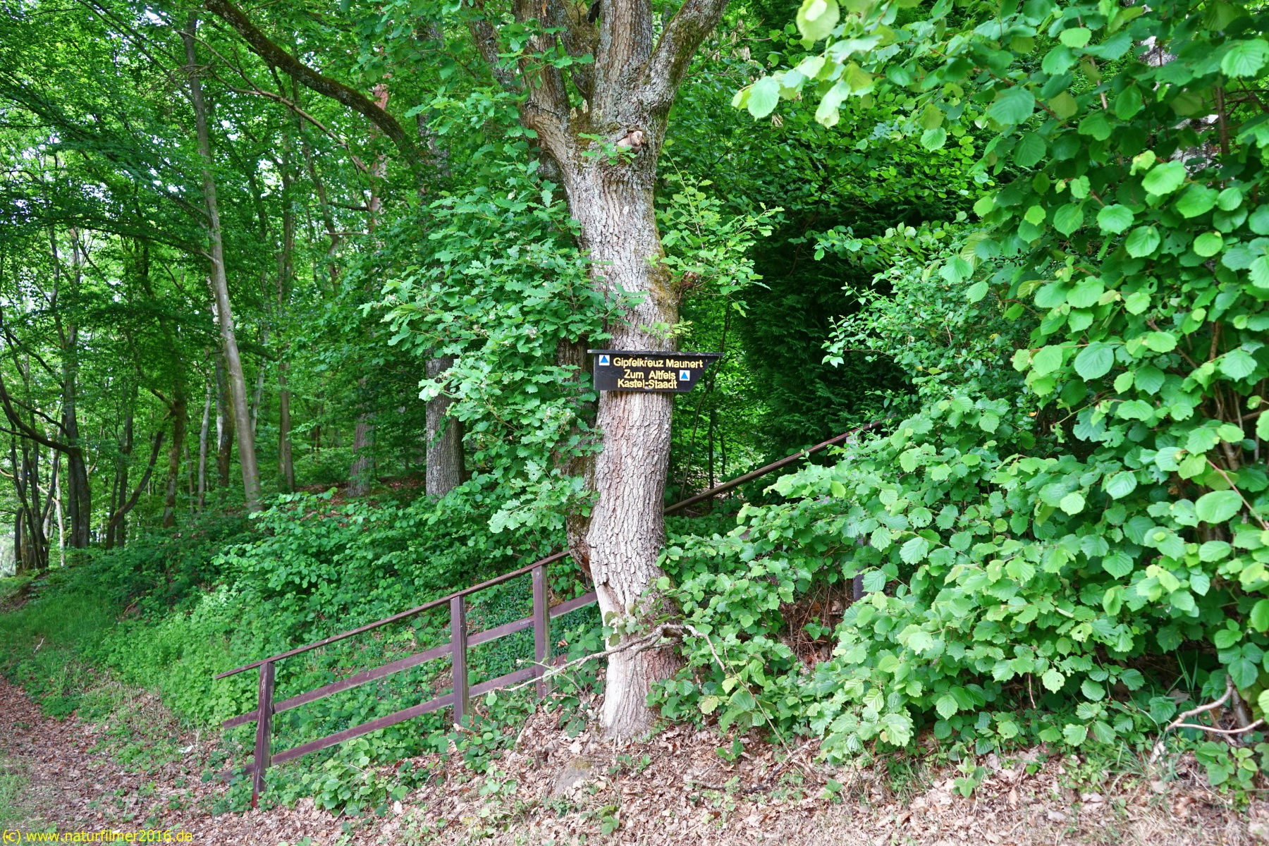 20200522_taben_rundwanderweg3_Color_4000er-5