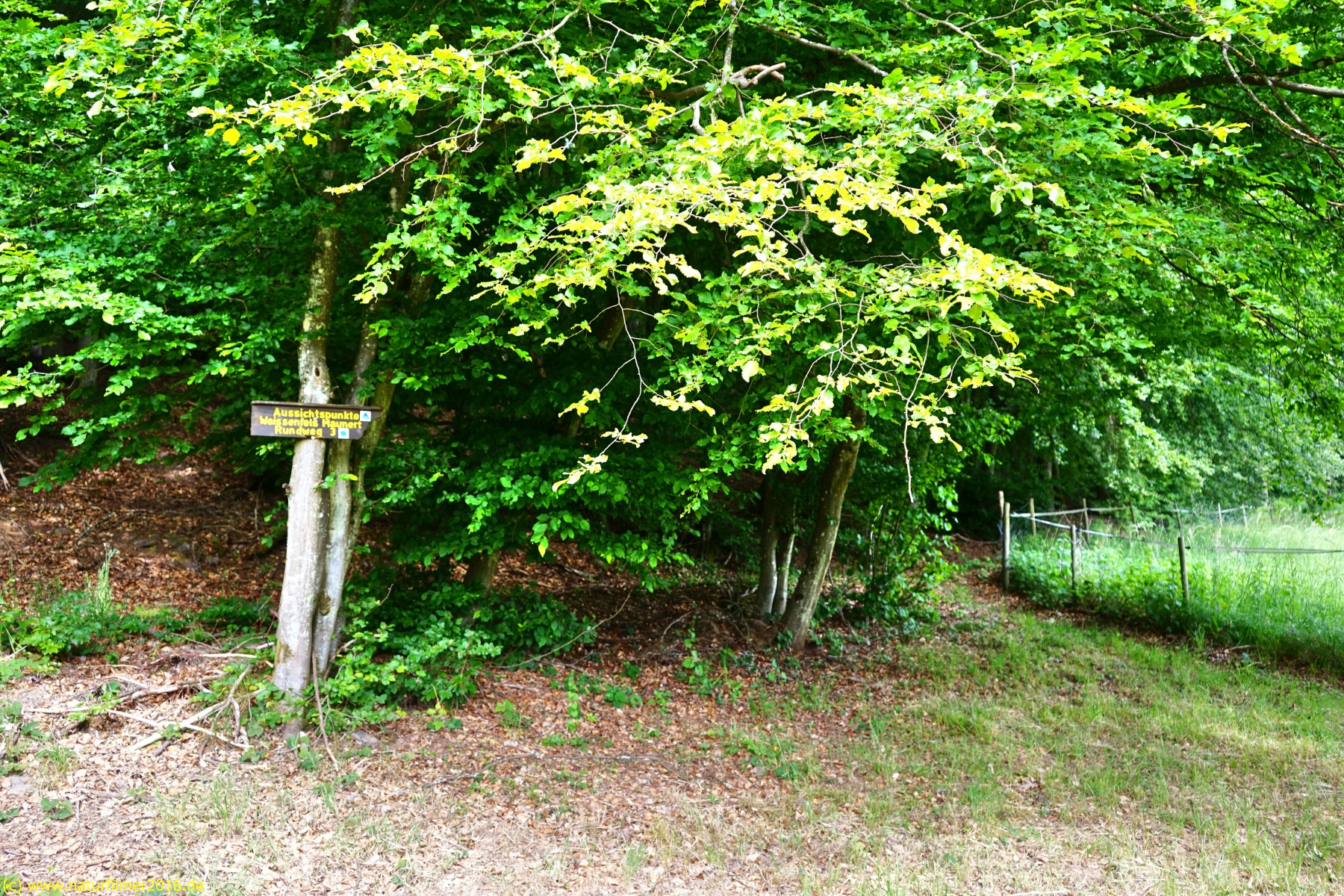 20200522_taben_rundwanderweg3_Color_4000er-7