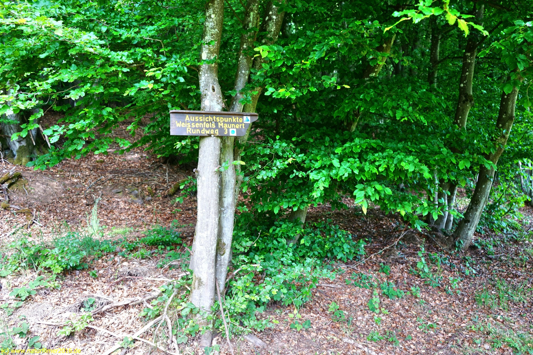 20200522_taben_rundwanderweg3_Color_4000er-8