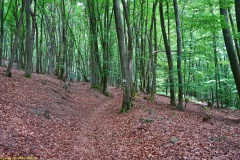 20200522_taben_rundwanderweg3_Color_4000er-10