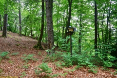 20200522_taben_rundwanderweg3_Color_4000er-16