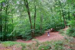 20200522_taben_rundwanderweg3_Color_4000er-17