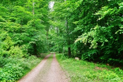 20200522_taben_rundwanderweg3_Color_4000er-19