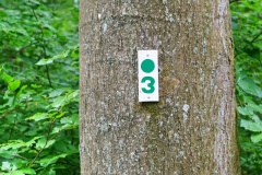 20200522_taben_rundwanderweg3_Color_4000er-20