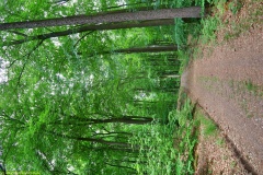 20200522_taben_rundwanderweg3_Color_4000er-21