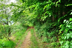 20200522_taben_rundwanderweg3_Color_4000er-31