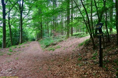 20200522_taben_rundwanderweg3_Color_4000er-38