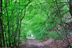 20200522_taben_rundwanderweg3_Color_4000er-41