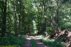 20200524_taben_rundwanderweg4_4000er-11
