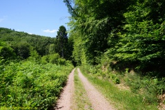 20200524_taben_rundwanderweg4_4000er-12