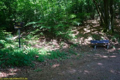 20200524_taben_rundwanderweg4_4000er-13