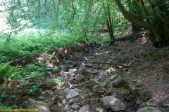 20200524_taben_rundwanderweg4_4000er-14