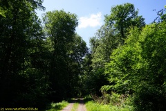 20200524_taben_rundwanderweg4_4000er-15