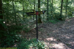 20200524_taben_rundwanderweg4_4000er-16