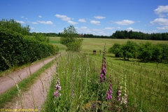 20200524_taben_rundwanderweg4_4000er-20