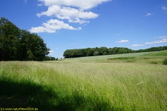 20200524_taben_rundwanderweg4_4000er-22