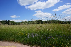 20200524_taben_rundwanderweg4_4000er-26