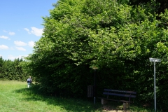 20200524_taben_rundwanderweg4_4000er-31