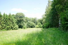 20200524_taben_rundwanderweg4_4000er-32