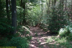 20200524_taben_rundwanderweg4_4000er-33