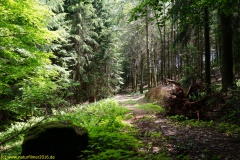 20200524_taben_rundwanderweg4_4000er-34