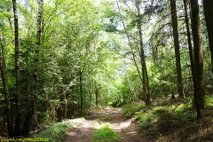 20200524_taben_rundwanderweg4_4000er-35