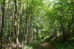 20200524_taben_rundwanderweg4_4000er-36