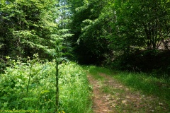 20200524_taben_rundwanderweg4_4000er-37