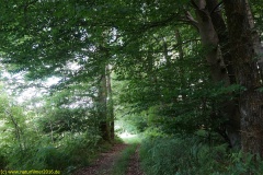 20200524_taben_rundwanderweg4_4000er-38