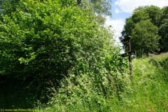 20200524_taben_rundwanderweg4_4000er-40