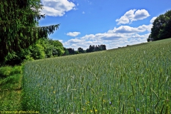 20200524_taben_rundwanderweg4_4000er-41