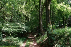 20200524_taben_rundwanderweg4_4000er-42