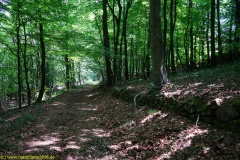 20200524_taben_rundwanderweg4_4000er-43