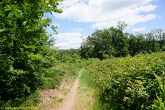 20200524_taben_rundwanderweg4_4000er-47