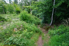 20200524_taben_rundwanderweg4_4000er-48