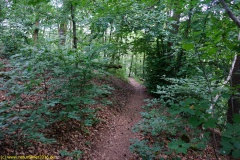 20200524_taben_rundwanderweg4_4000er-49