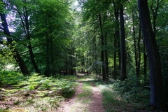 20200542_taben_rundwanderweg5_400er-100