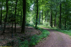 20200542_taben_rundwanderweg5_400er-103