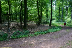 20200542_taben_rundwanderweg5_400er-106