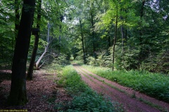 20200542_taben_rundwanderweg5_400er-107