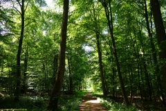 20200542_taben_rundwanderweg5_400er-108