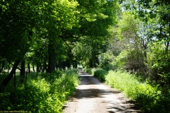 20200542_taben_rundwanderweg5_400er-110