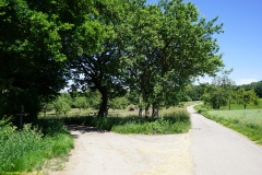 20200542_taben_rundwanderweg5_400er-113