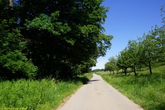 20200542_taben_rundwanderweg5_400er-114