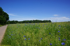 20200542_taben_rundwanderweg5_400er-115